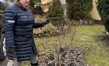 Praktiskie darbi ainavu būvtehniķiem