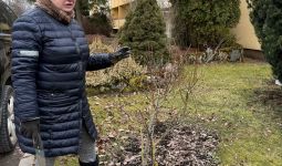 Praktiskie darbi ainavu būvtehniķiem