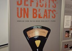 Mācību ekskursija Cēsīs